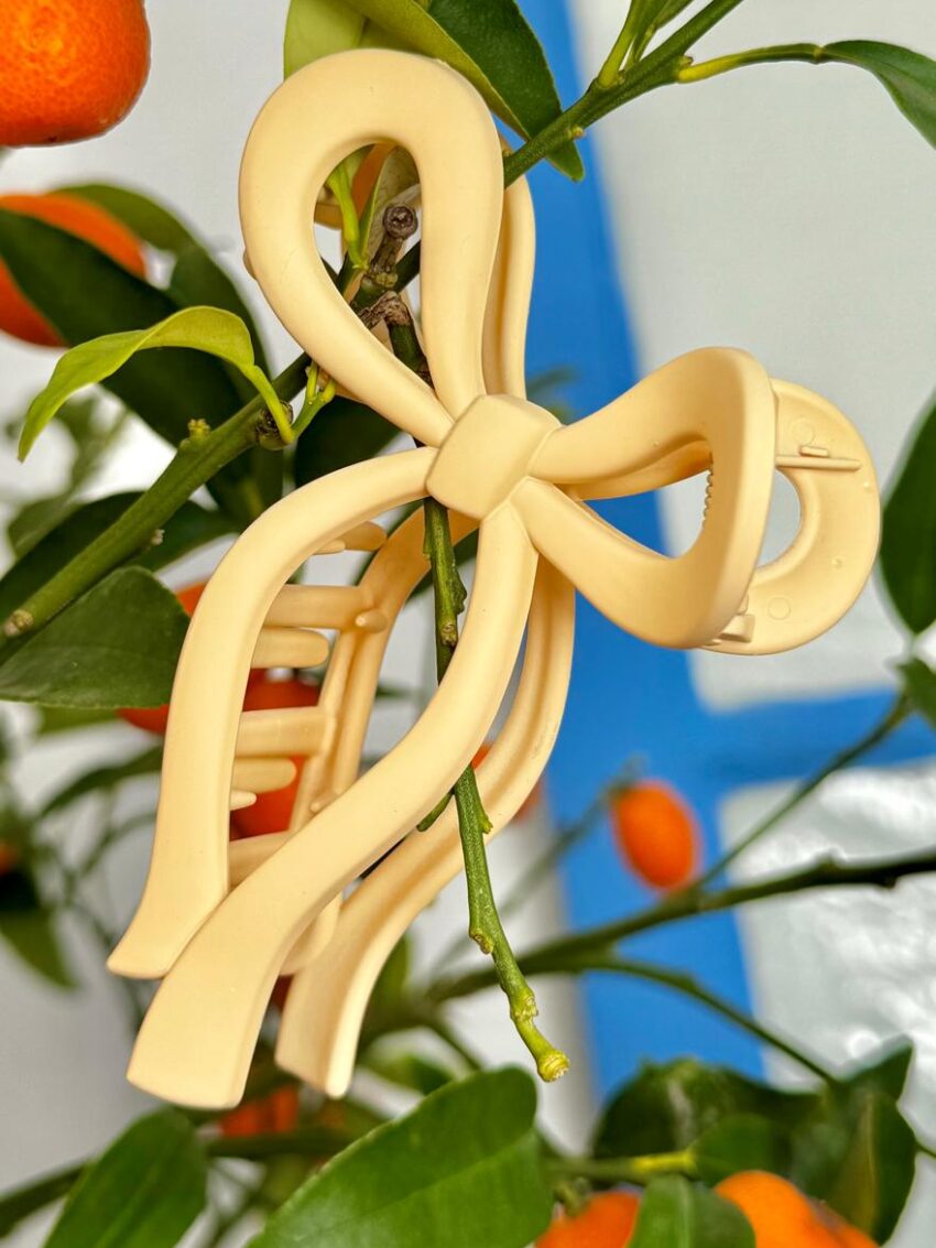 Alternative view of BROCHE COQUETTE AP.